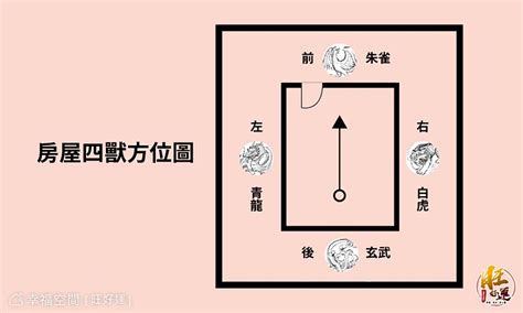 龍邊有路燈|龍邊路燈風水改造術